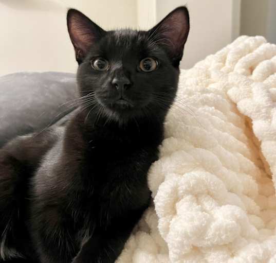 Photo of Zachary Binx