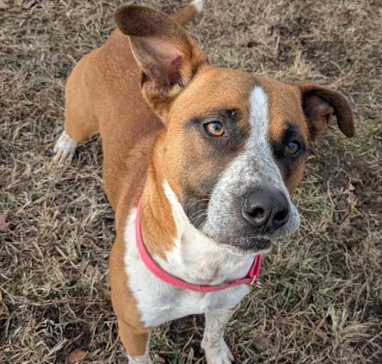 Photo of Sweetie