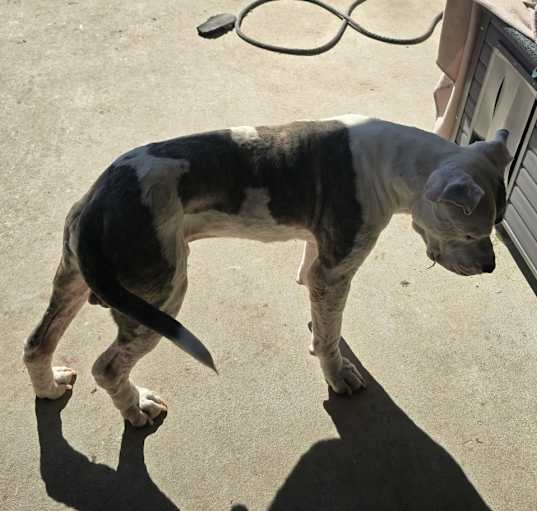 Photo of Max