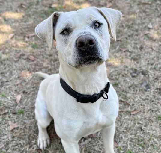 Photo of Tank