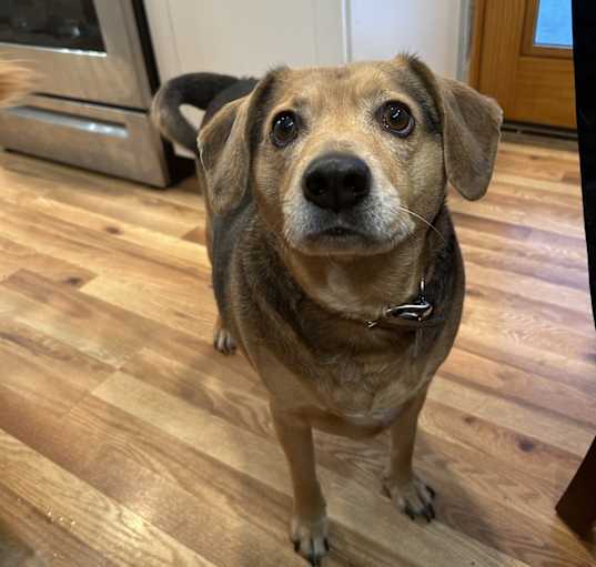 Photo of Waldo