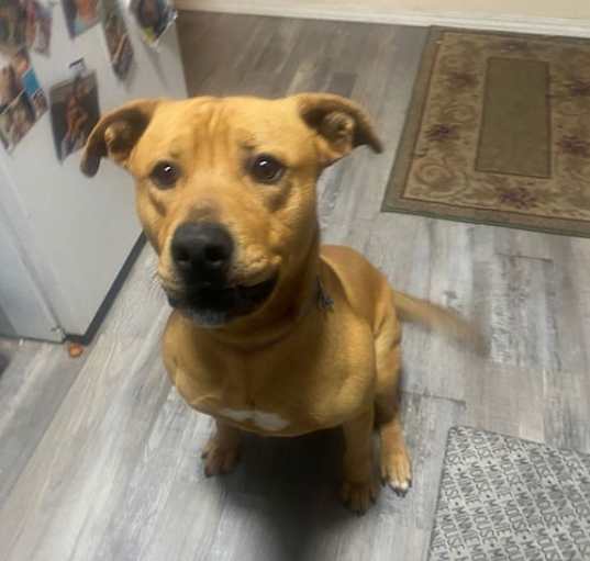 Photo of Buddy