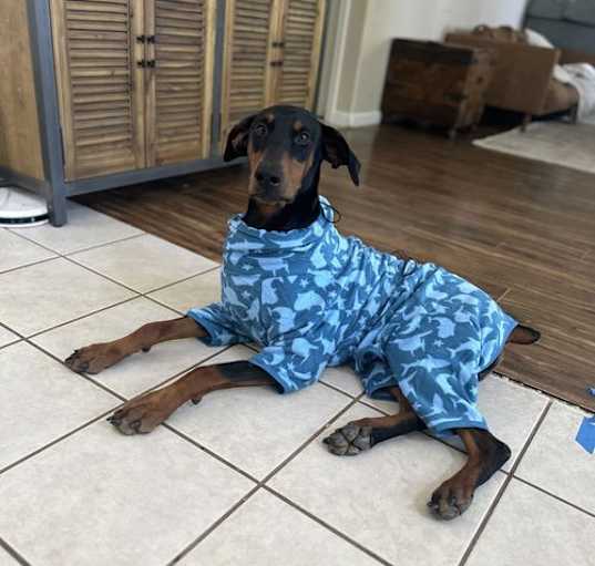 Photo of Ranger