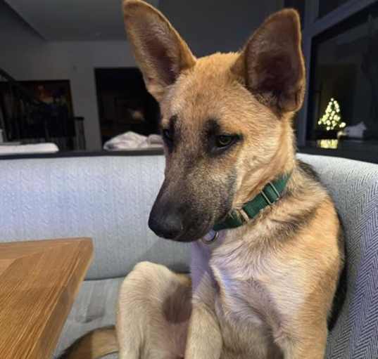 Photo of BELLE