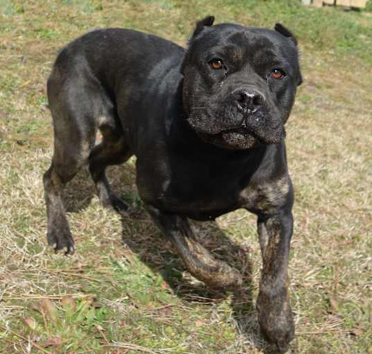 Photo of Estella
