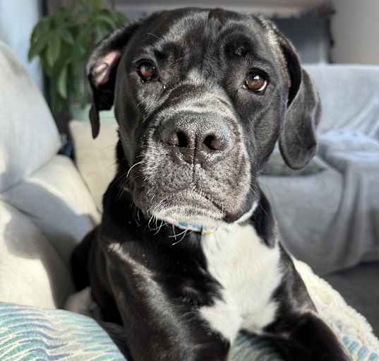 Photo of Addie