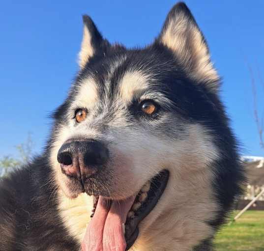 Photo of Bruce