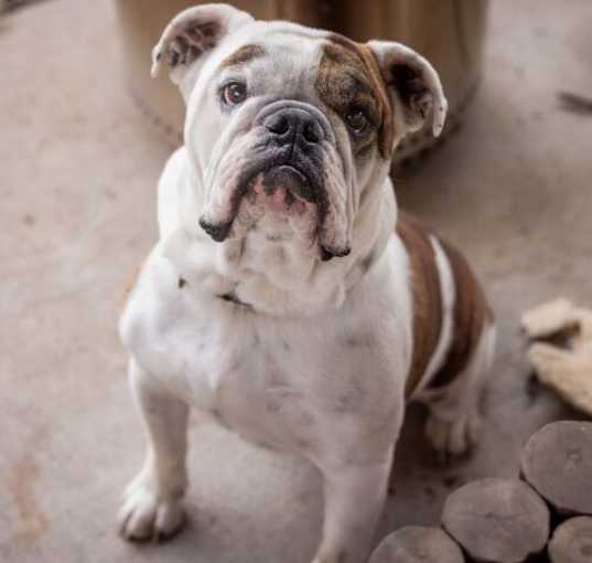 Photo of Maynard