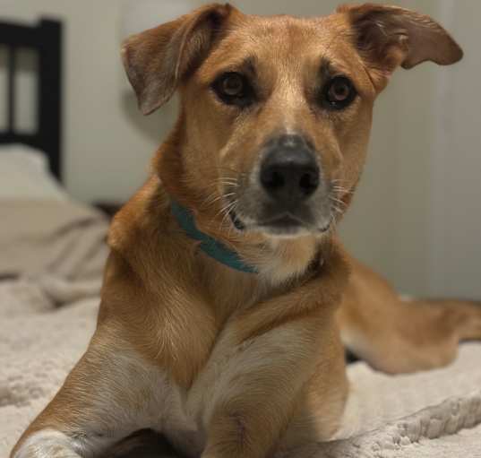 Photo of Molly