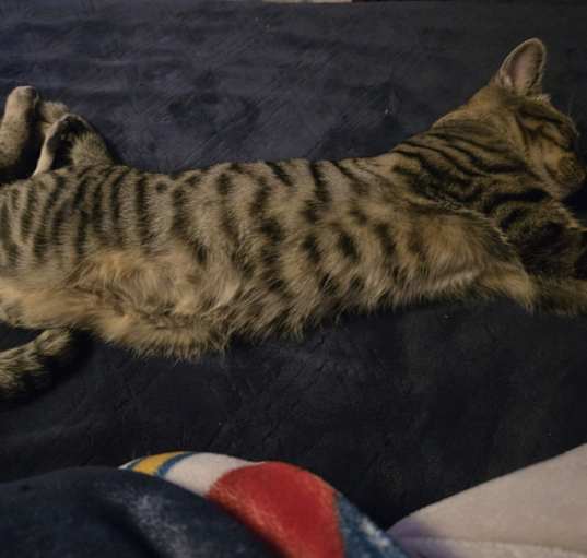 Photo of Teo
