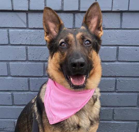 Photo of Georgia