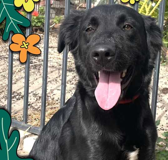 Photo of Maggie Lou