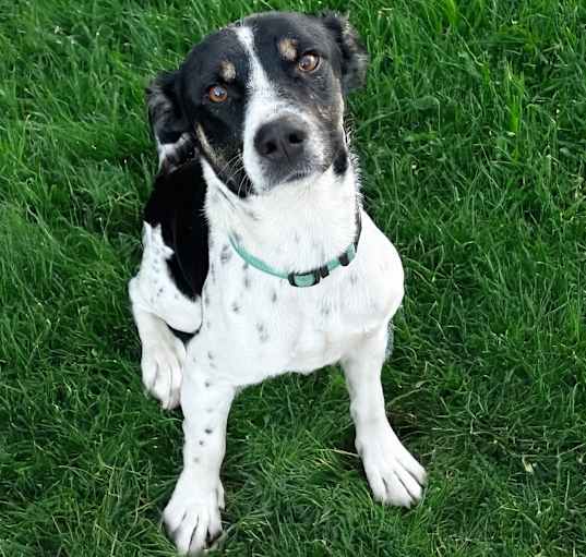 Photo of Burt