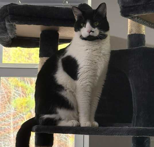Photo of Booger