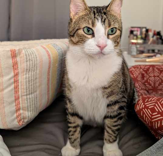 Photo of Hermes