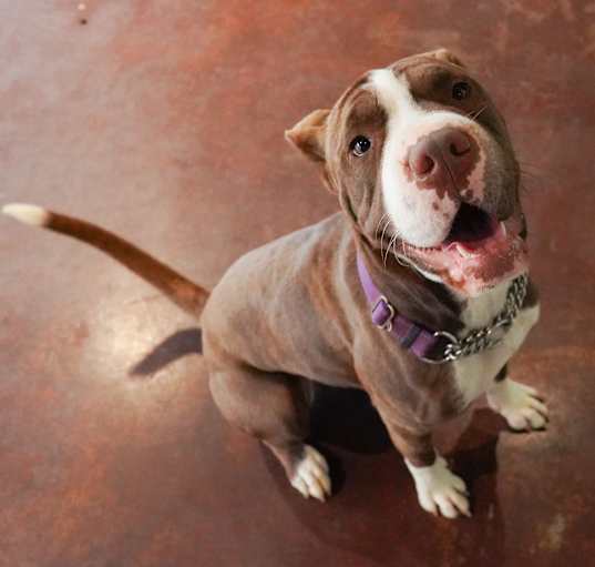 Photo of Ruby
