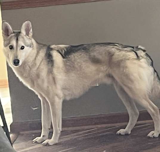 Photo of Kai