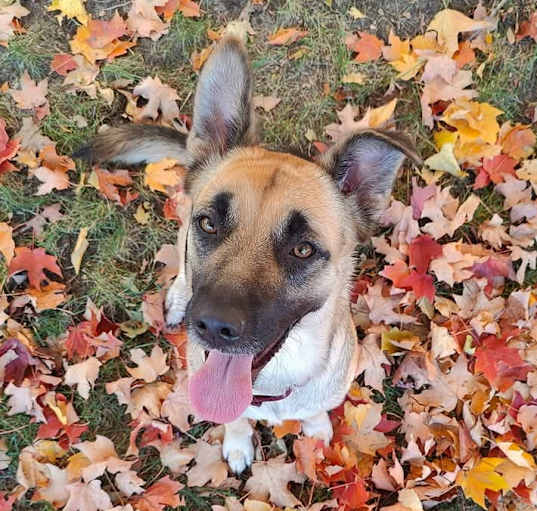 Photo of Bourbon