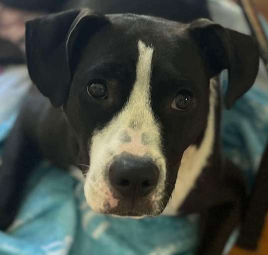 Photo of Cali