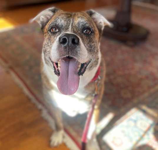 Photo of Max
