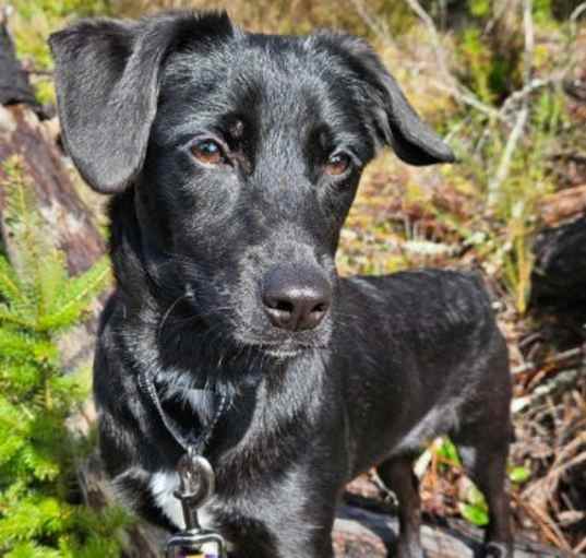 Photo of Adora