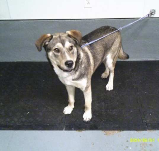 Photo of Aspen