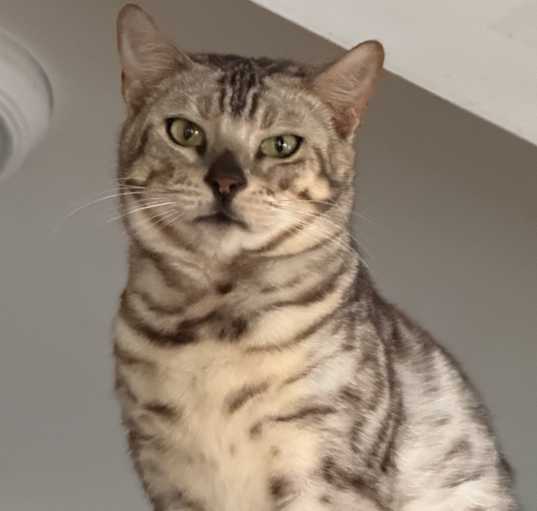 Photo of Skyler