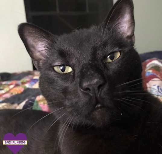 Photo of Dimitri