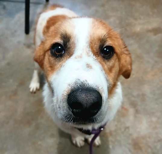 Photo of Theodore