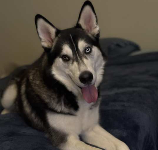 Photo of Totem