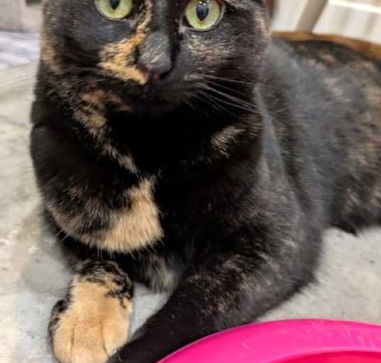 Photo of Mimi
