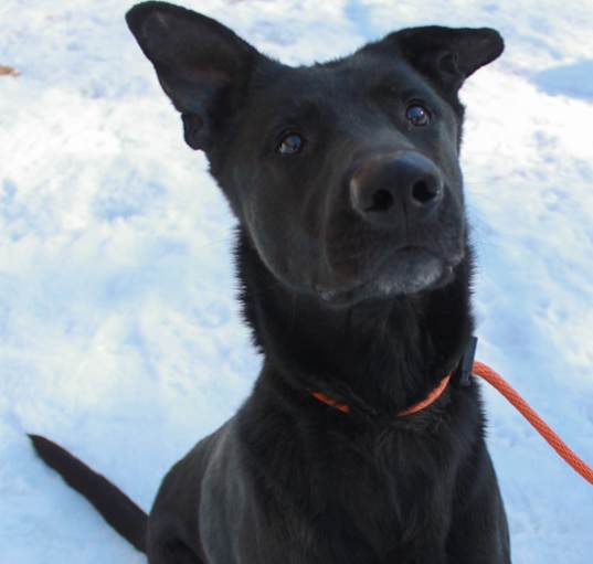Photo of Oso