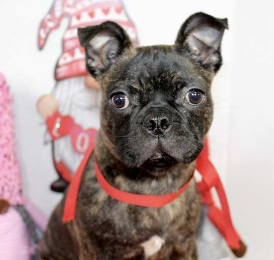 Photo of Mickey