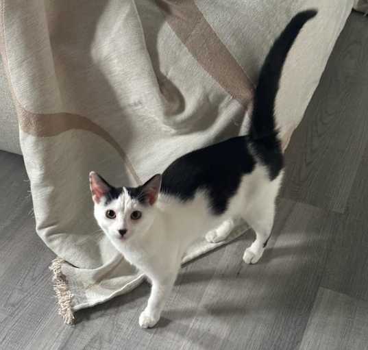 Photo of Riley
