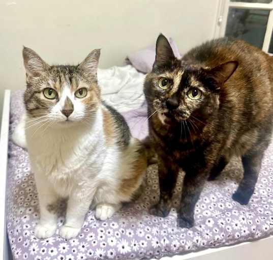 Photo of Astro and Dakota Jean