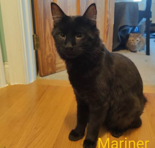 Photo of Mariner