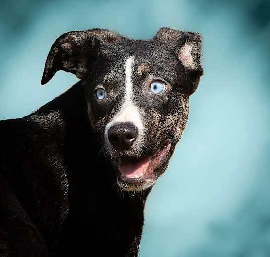 Photo of Waldo