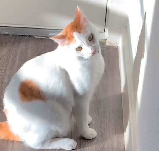 Photo of Sammy