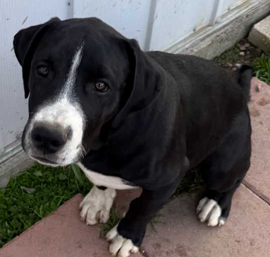 Photo of Coal