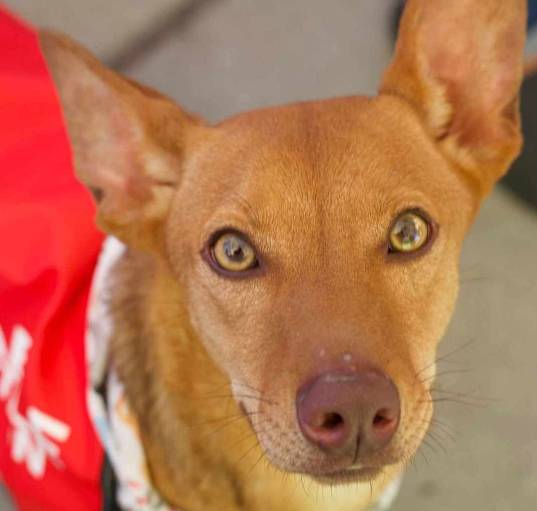Photo of Ojitos-Beautiful eyes
