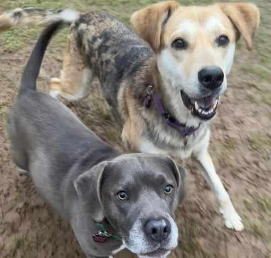 Photo of Bubba & Sandy