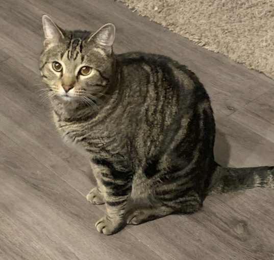 Photo of Leo