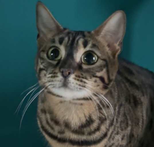 Photo of Libby