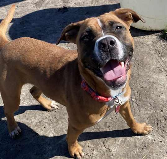 Photo of 2502-0366 Daisy Mae