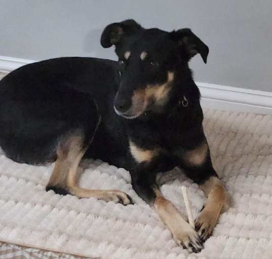 Photo of Jasper