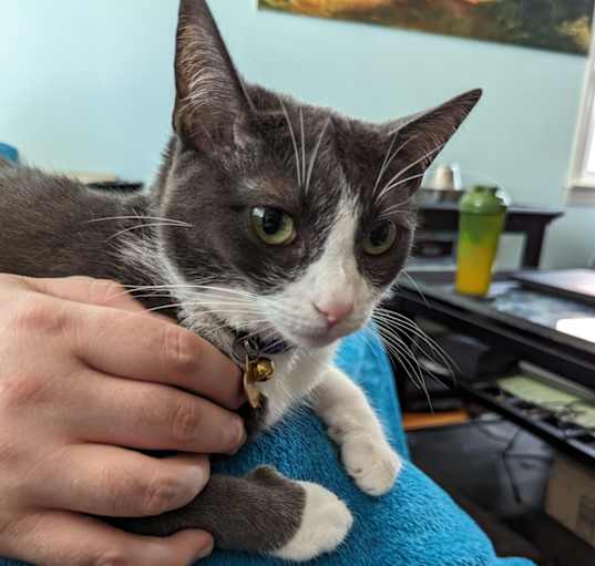 Photo of Freya