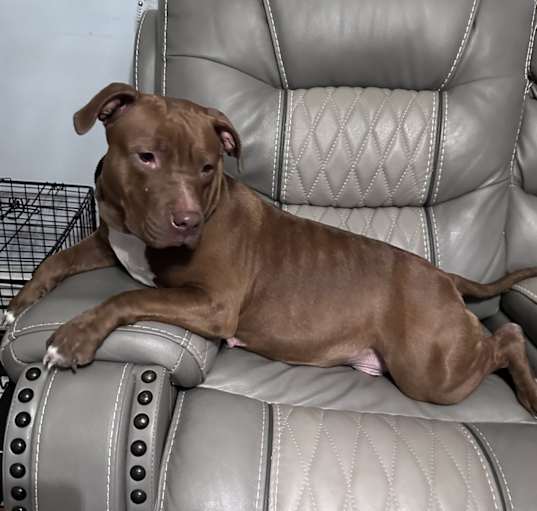Photo of Grace