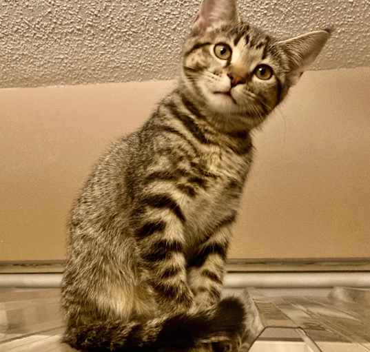Photo of Moli