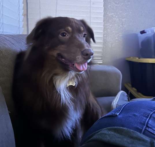 Photo of Bentley