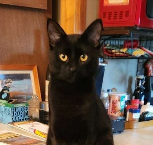 Photo of Moxy